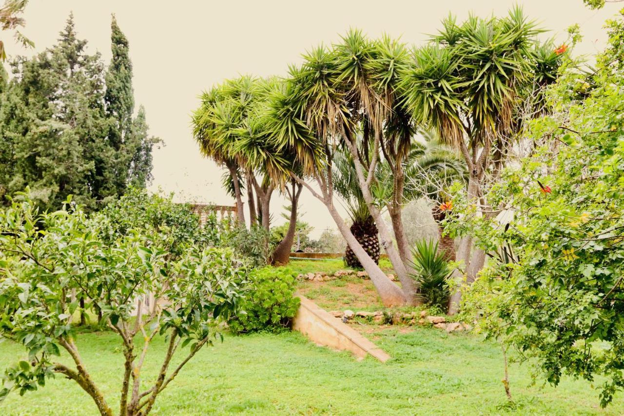 Finca Randa, Llucmayor, Bis 3 Sz, Pool, Garten Llucmajor  Zewnętrze zdjęcie